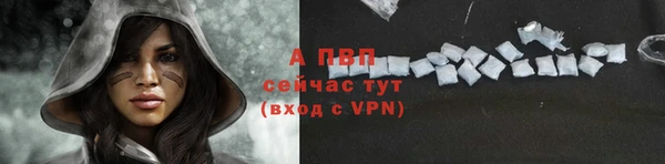 стафф Осинники